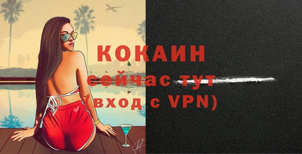хмурый Вяземский